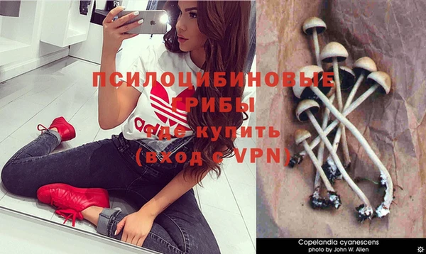 индика Краснослободск
