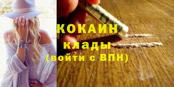 твердый Козловка