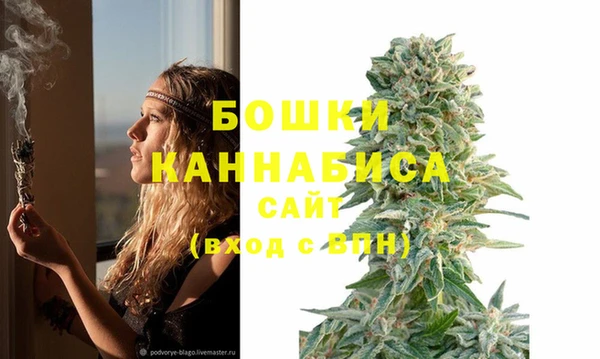 прущие крисы Кодинск