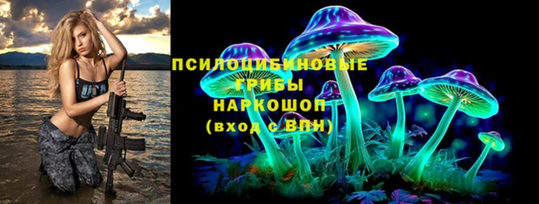 твердый Козловка