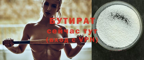 индика Краснослободск