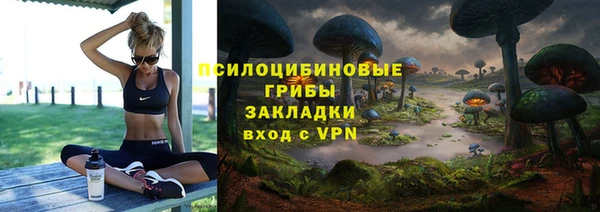 меф Козельск